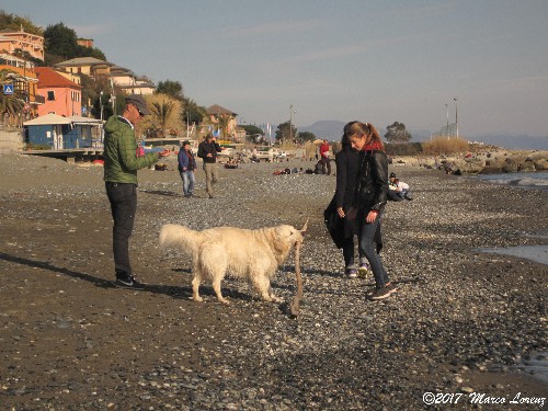 UNA GIORNATA A COGOLETO